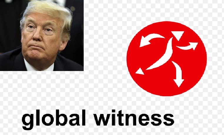 Global Witness report