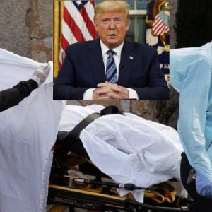 Trump’s Coronavirus Task Force has stopped PPE Shipments for U.S Allies