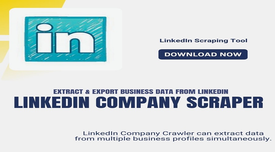 Extract Business Data From LinkedIn